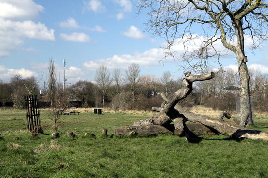 Wormwood Scrubs W12 Handyman